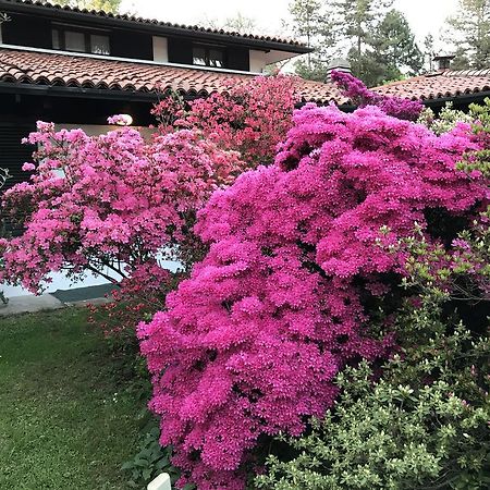 Il Giardino Dei Sogni Bed and Breakfast Somma Lombardo Esterno foto